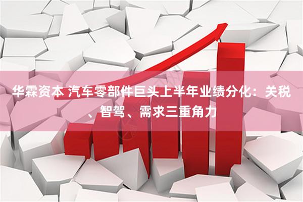 华霖资本 汽车零部件巨头上半年业绩分化：关税、智驾、需求三重角力