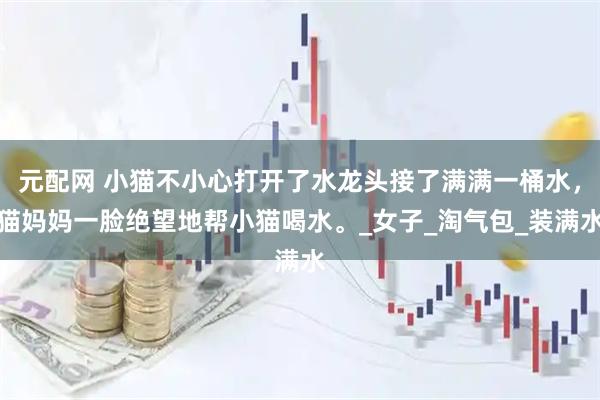 元配网 小猫不小心打开了水龙头接了满满一桶水，猫妈妈一脸绝望地帮小猫喝水。_女子_淘气包_装满水