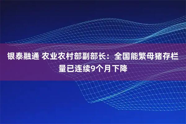 银泰融通 农业农村部副部长：全国能繁母猪存栏量已连续9个月下降