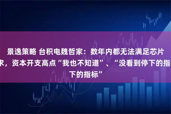 景逸策略 台积电魏哲家：数年内都无法满足芯片需求，资本开支高点“我也不知道”、“没看到停下的指标”